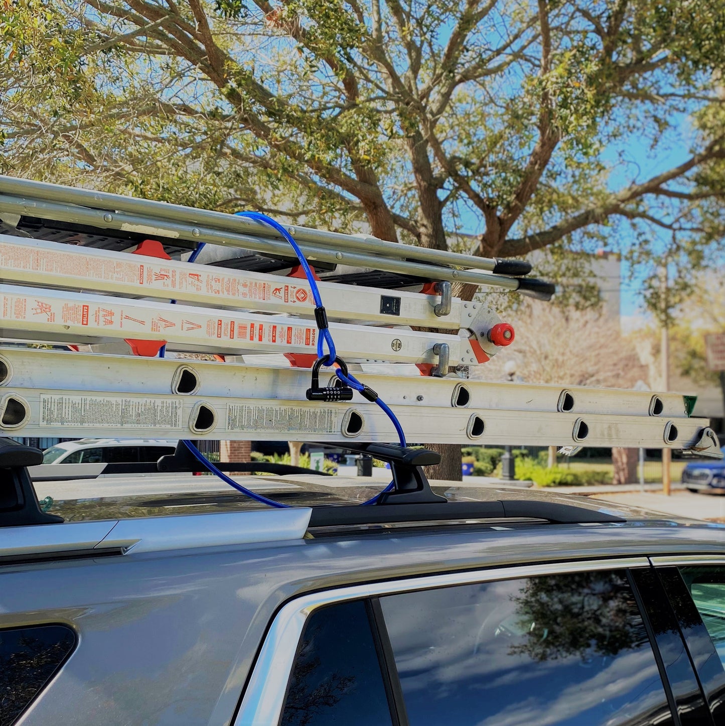 Câble de sécurité droit antivol DocksLocks® résistant aux intempéries avec extrémités en boucle (5', 10', 15', 20' ou 25')